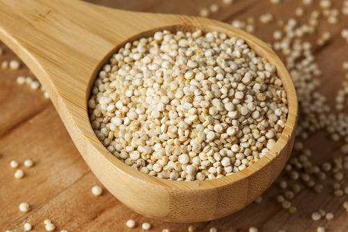 quinoa-seeds-500x500