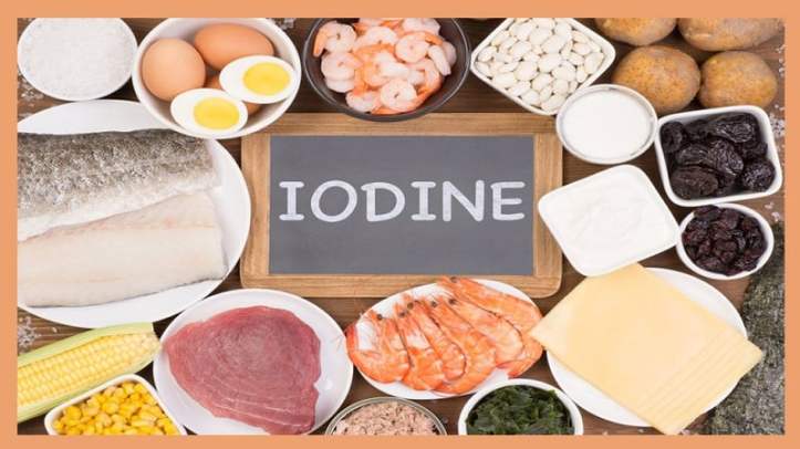 iodine-rich-foods-list-in-india